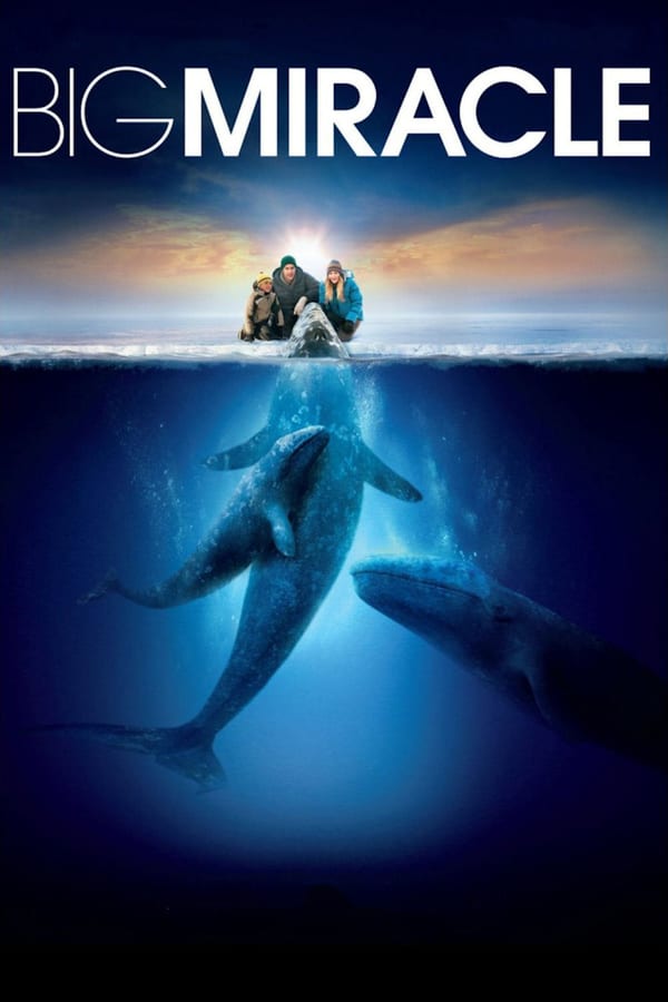 TOP - Big Miracle